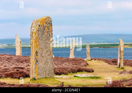 Standing Stones of Stenness stammt aus mindestens 3100 v. Chr. und sind Teil des neolithischen Orkney UNESCO-Weltkulturerbes, Schottland, Großbritannien Stockfoto