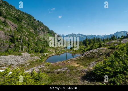 Alpine Landschaft bei Heather Meadows in der Mount Baker Gegend Des Staates Washingston Stockfoto