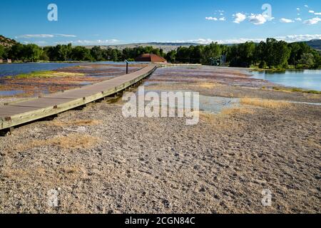 Boardwalk Trail führt durch heiße Quellen in Hot Springs State Park in Wyoming Stockfoto