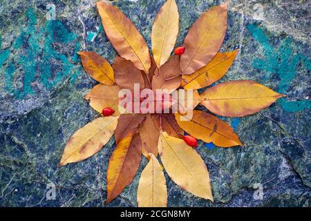 Die Herbstblätter sind in der Komposition auf dem Stein angeordnet. Stockfoto