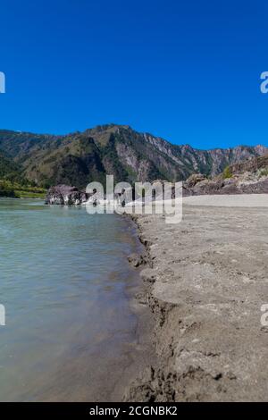 Ein Flussufer mit Sandstrand vor dem Hintergrund eines Berges mit grünen Bäumen an einem Sommertag im Altai an einem einsamen Ort bedeckt. Land bezüglich Stockfoto