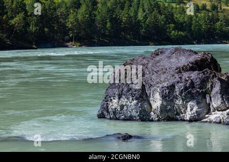 Mountain River - Türkis Katun in Altai mit einem großen Stein - eine graue Klippe am Ufer, von der Strömung und Wasser seit Jahrhunderten geschnitzt. Stockfoto