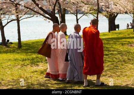 Washington, DC, USA 04/10/2013: Eine Gruppe buddhistischer Mönche, die religiöse Roben tragen, wandern im Gezeitenbecken während der jährlichen Kirschblüte fes Stockfoto