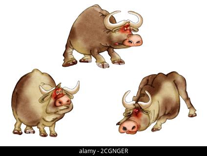 Cartoon-Stier. Eine Reihe von Stieren in verschiedenen Posen.. Stockfoto