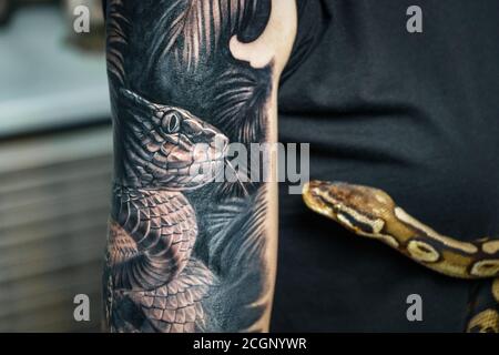 Frau hält Python, die die Probe für Tattoo ist Stockfoto
