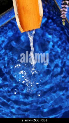 Wasser läuft über einen Bambus in eine blaue Schale Stockfoto