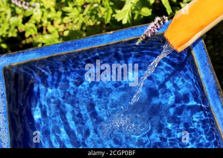 Wasser läuft über einen Bambus in eine blaue Schale Stockfoto