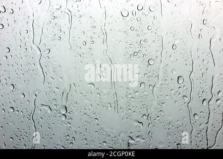 Eine kleine Regentropfen ruht auf das Glas nach Regen. Stockfoto