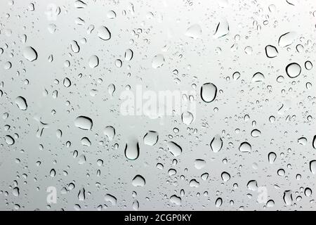 Eine kleine Regentropfen ruht auf das Glas nach Regen. Stockfoto