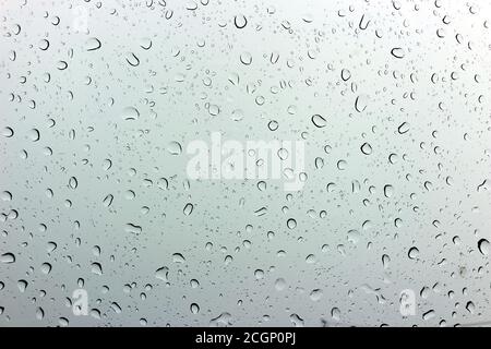 Eine kleine Regentropfen ruht auf das Glas nach Regen. Stockfoto