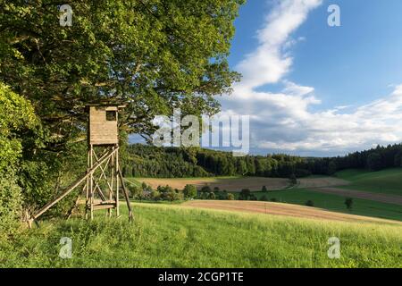 Jägersitz am Waldrand bei Schienen auf der Hoeri-Halbinsel, Bodensee, Baden-Württemberg, Deutschland Stockfoto