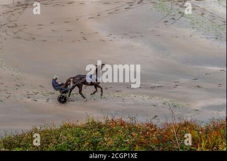 Inchydoney, West Cork, Irland. September 2020. Ein Harness-Rennfahrer legt sein Pferd, zieht ein Sulky, durch seine Schritte auf Inchydoney Beach, West Cork. Der Tag ist trocken mit Sonnenschein an diesem Morgen zu Zauber von Regen an diesem Nachmittag. Obere Temperaturen von 15 bis 18 Grad. Quelle: AG News/Alamy Live News Stockfoto