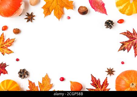 Herbstkomposition. Rahmen aus Herbstblättern, Kürbissen, Blumen, Beeren, Nüsse isoliert auf weißem Hintergrund. Herbst, halloween, Thanksgiving Tag Konz Stockfoto