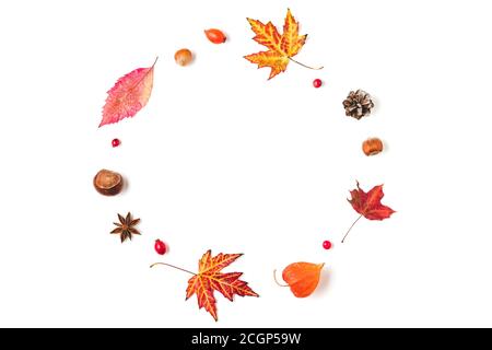 Herbstkomposition. Kranz aus Herbstblättern, Blumen, Nüssen, Beeren auf weißem Grund. Flach liegend, Draufsicht mit Kopierplatz Stockfoto