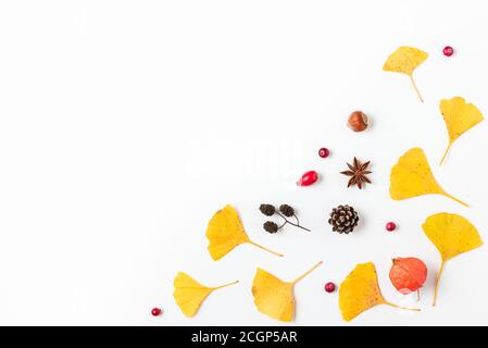 Herbsthintergrund. Gelbe Herbstblätter von Gingko biloba mit Physalis-Blüte, Beeren und Zapfen isoliert auf weißem Hintergrund. Flache Lage. Draufsicht mit c Stockfoto