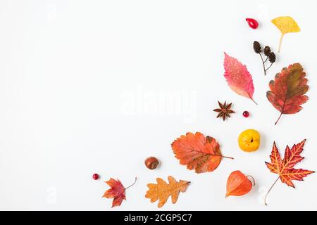 Herbstkomposition. Getrocknete Blätter, Blumen, Beeren, Zapfen isoliert auf weißem Hintergrund. Herbst, Herbst, Thanksgiving Day Konzept. Flach liegend, Draufsicht mit Stockfoto