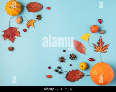 Thanksgiving oder Herbst Hintergrund. Getrocknete Blätter, Kürbisse, Blumen, Beeren, Nüsse auf blauem Hintergrund. Herbst, Herbst, Thanksgiving Day Konzept. Flach liegend Stockfoto