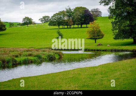 Eine Kurve im Fluss Bela im Dallam Park, Milnthorpe, Cumbria, England Stockfoto