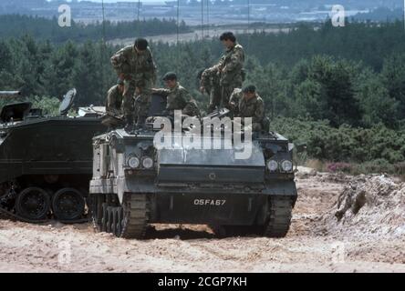 BRITISCHE ARMEE Truppentransportpanzer Bulldog / Panzerpersonal Carrier APC FV432 Bulldog Stockfoto