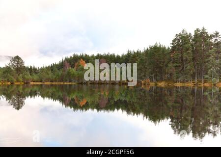 Cairngorms National Park: Uath Lochan im Herbst, Kincraig, Schottland, Großbritannien Stockfoto