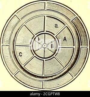 . Die Straßenbahn Zeitschrift . S. M. CARPENTER, PROP C. J. LANGDON, SECY. GIESSEREI FULTON, MANUFACTUBEKS VON. STRASSENBAHNEN, Tischler Patent Drehtische und Transfer-Tische, Open Wheels in allen Größen und Gewichten. Räder und Achsen aller Größen kurzfristig montiert. Gekühlte Kurve Schiene, Weichen, Schalter, etc., etc. Blaue Drucke und Rechnungen Furnishedon Anwendung. Für illustrierten Katalog senden. ADRESSE, GIESSEREI FULTON, J 9  Stockfoto