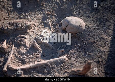 Serbien, 27. September 2019: Menschliche Überreste aus der römischen Zeit bei archäologischen Ausgrabungen in Vinča entdeckt Stockfoto