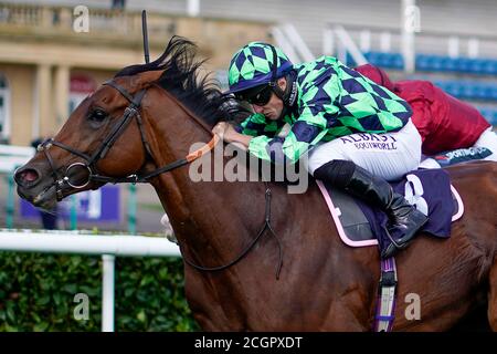 Tom Marquand, der Matthew Flinders reitet, gewinnt das Sky Sport Racing HD Virgin 535 Handicap am vierten Tag des William Hill St Leger Festivals auf der Doncaster Racecourse. Stockfoto