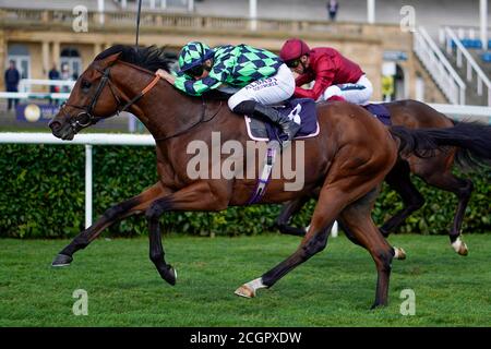 Tom Marquand reitet Matthew Flinders gewinnt das Sky Sport Racing HD Virgin 535 Handicap am vierten Tag des William Hill St Leger Festivals auf der Doncaster Racecourse. Stockfoto