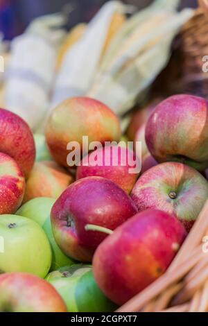 Rote reife Äpfel und Maiskolben in einem Korb an Der Bauernmarkt Stockfoto