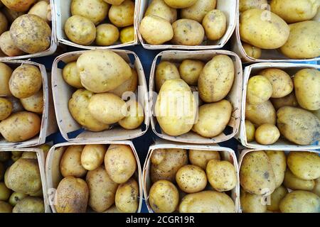 Körbe mit frischen Kartoffeln zum Verkauf auf einem Bauernmarkt Stockfoto