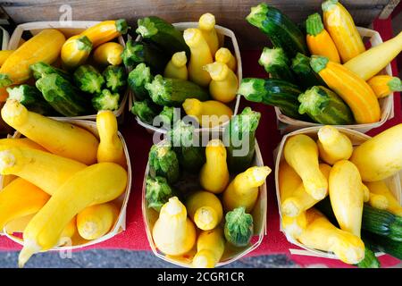 Gelbe und grüne Zucchini Sommer Squash auf dem Bauernmarkt Stockfoto