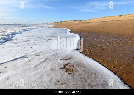 Meeresschaum auf dem schönen Sand Atlantischen Ozean Strand in Frankreich. Stockfoto