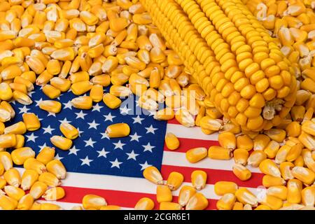 Flagge der Vereinigten Staaten von Amerika bedeckt mit Maiskörnern. Konzept der amerikanischen Landwirtschaft Importe, Exporte, Ethanol, Handelskrieg, Abkommen und Zölle. Stockfoto