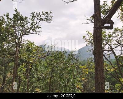 GEBIRGSZÜGE VON PACHMARHI, SATPURA IM ZENTRALEN TEIL VON INDIEN BEKANNT ALS MADHYA PRADESH MIT BLÄULICHER FÄRBUNG Stockfoto