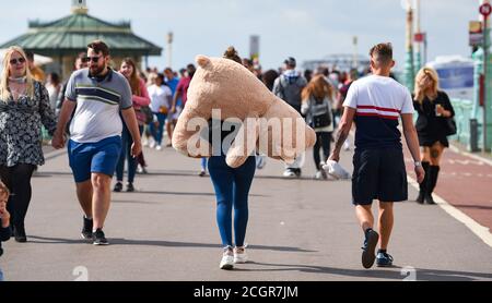 Brighton UK 12. September 2020 - Es ist heiße Arbeit mit einem großen Teddybär entlang Brighton Strandpromenade nach dem Gewinn es als Preis auf dem Pier an einem sonnigen, aber luftigen Tag als heißes Wetter wird prognostiziert, dass in ganz Großbritannien in den nächsten Tagen zu verbreiten .. : Credit Simon Dack / Alamy Live News Stockfoto