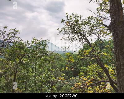 GEBIRGSZÜGE VON PACHMARHI, SATPURA IM ZENTRALEN TEIL VON INDIEN BEKANNT ALS MADHYA PRADESH MIT BLÄULICHER FÄRBUNG Stockfoto