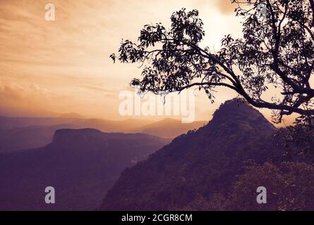 GEBIRGSZÜGE VON PACHMARHI, SATPURA IM ZENTRALEN TEIL VON INDIEN BEKANNT ALS MADHYA PRADESH MIT BLÄULICHER FÄRBUNG Stockfoto