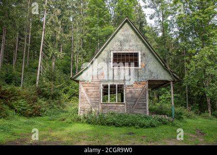 Verlassene alte Haus im Wald Stockfoto