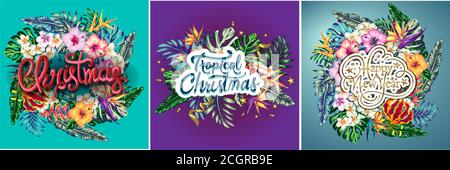 Set von Karten fröhliche weihnachten und glückliches neues Jahr im tropischen Stil Design, Palmblätter und Splet Blumen in einem weihnachtskranz mit Glückwünschen lassen Stock Vektor