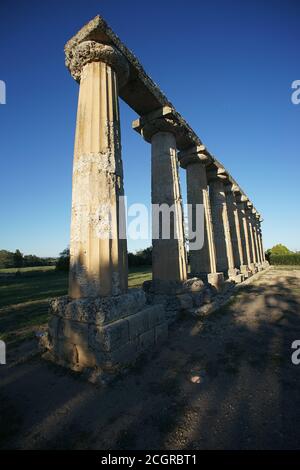 Dorischer griechischer Tempel, die 'Tavole Palatin' in Metaponto, Hera Sanctuary in Metaponto, Bernalda, Provinz Matera, Basilicata, Italien Stockfoto