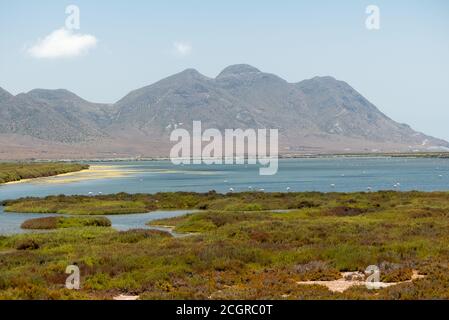 Ein Naturschutzgebiet in der Nähe von Cabo de Gata Stockfoto