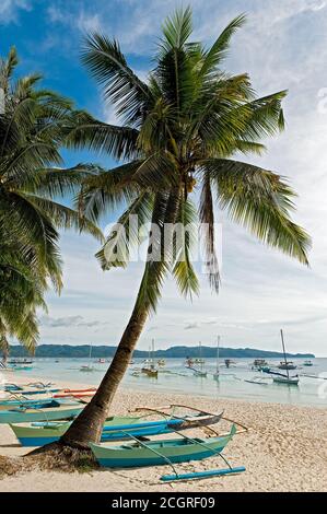 Malerische Aussicht auf Palmen und viele kleine Fischerboote auf dem leeren weißen Sandstrand auf Boracay Island, Visayas, Philippinen, Asien Stockfoto