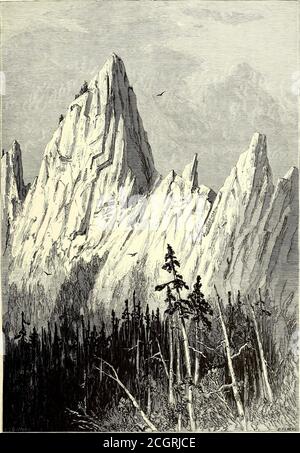 . Malerisches Amerika; oder das Land, in dem wir leben. Eine Beschreibung der Berge, Flüsse, Seen, Wälder, Wasserfälle, Ufer, cañons, Täler, Städte und andere malerische Merkmale unseres Landes. Entfernt aufsteigende durch sonnige Täler, und zwischen braunen Hügeln mit herrlichen Eichen bedeckt. Auf dem Kamm, der das val-ley des Pitt überragt, werden feine Kiefern erreicht, die in Massen beträchtlich enoughto gruppiert werden, um einen Wald gestylt zu werden. Diese erstreckt sich entlang der Linie des Flusses, der, seinen Weg durch die Sierra, fällt in Richtung Westen in einer Reihe von weißen, turbulenten Stromschnellen. Ris Stockfoto