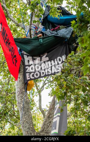 London, Großbritannien. September 2020. Die aktuellen Proteste gegen das Aussterben der Rebellion sind nun vorbei, aber ein Anti-HS2-Protest bleibt in den Bäumen über dem Parliament Square. Kredit: Guy Bell/Alamy Live Nachrichten Stockfoto