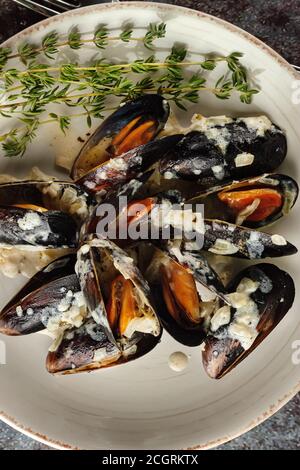 Moules Marinieres - Muscheln mit Weißweinsauce gekocht. Stockfoto