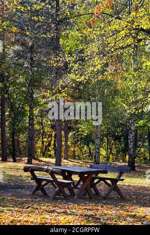 Picknicktisch im öffentlichen Park des Waldes Zvezdara in Belgrad, der Hauptstadt Serbiens, mit herbstlichen Laubbäumen Stockfoto
