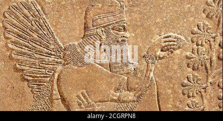 Assyrisches Wandrelief des geflügelten Genies, alte Schnitztafel aus dem Nahen Osten. Überreste der schönen Kunst der alten babylonischen und sumerischen Zivilisation in Meso Stockfoto