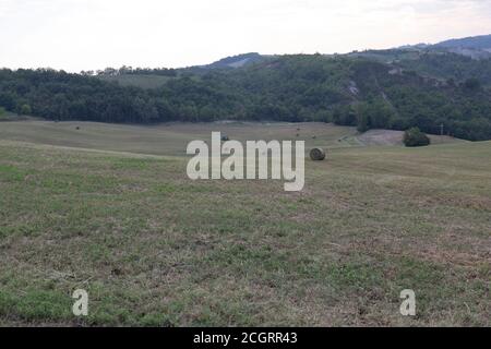 Felder entlang der Via Francigena in Borgo Taro, Italien Stockfoto