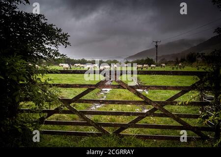 Ein nasser Tag im Crake Valley Stockfoto