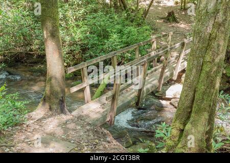 Diese charmante rustikale Brücke überquert einen Bach auf einem Pfad an King's Creek Falls in der Nähe von Burrels Ford Campground im Bundesstaat South Carolina. Stockfoto